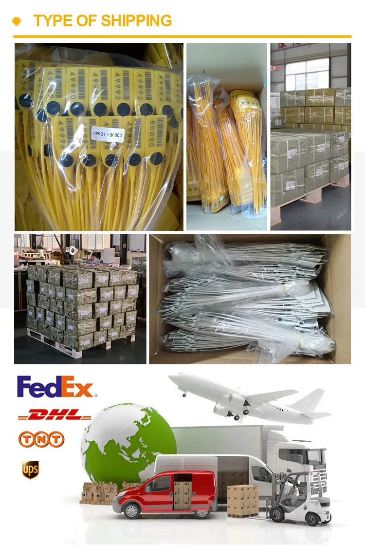 配送と輸送 Shipping&Transportation