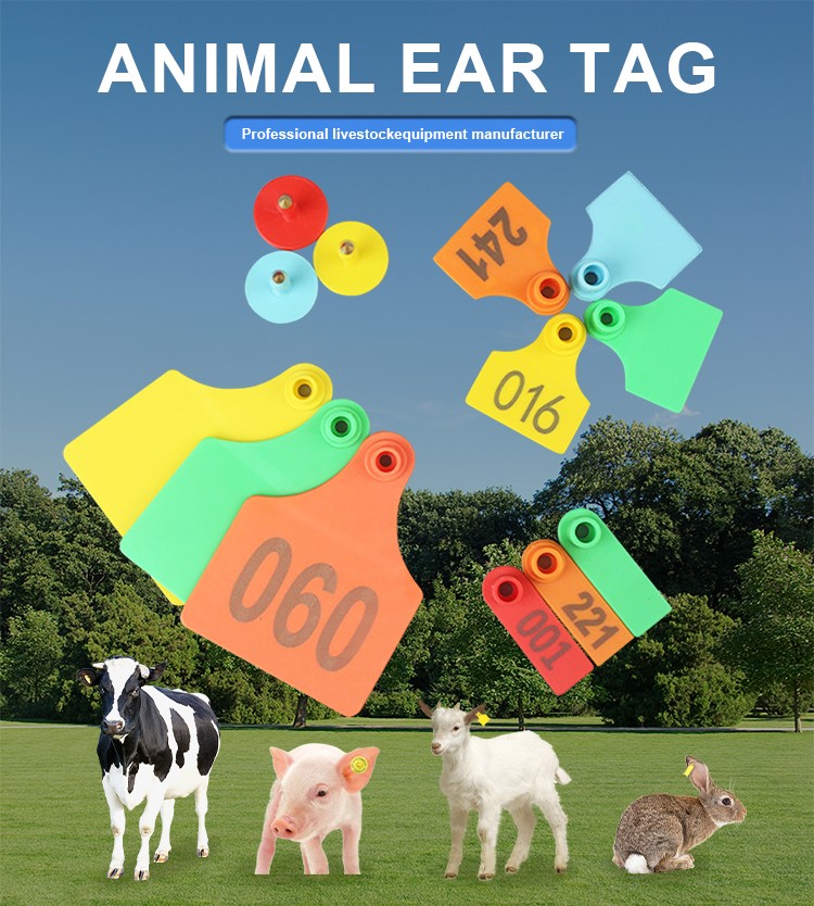 1716175412681455.jpg アニメ耳标_01.jpg