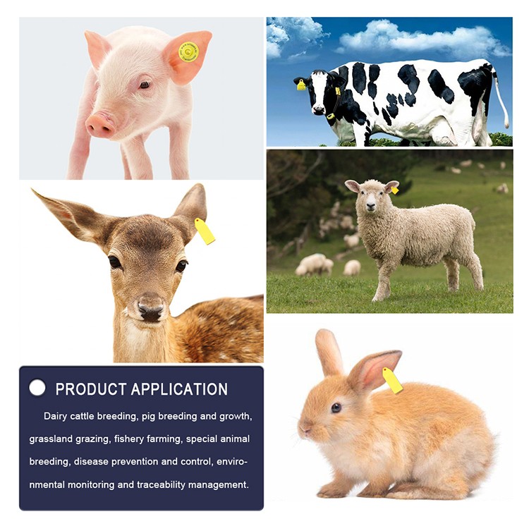 1716175765722579.jpg アニメ耳标_08.jpg