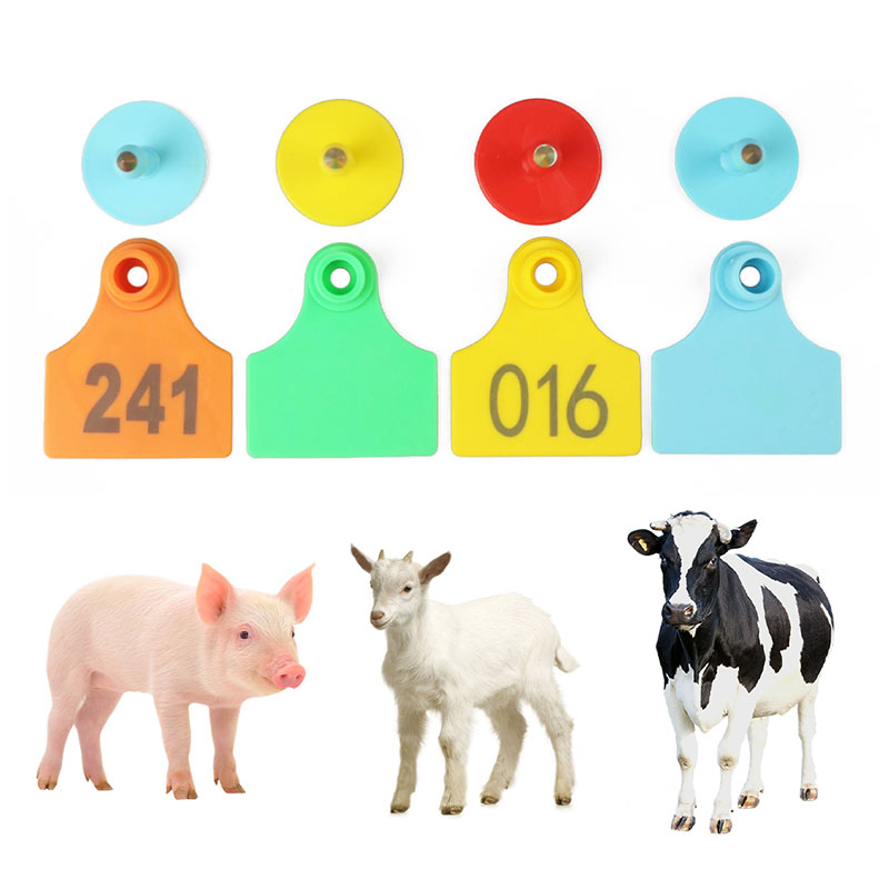 獣耳タグ 獣耳タグ